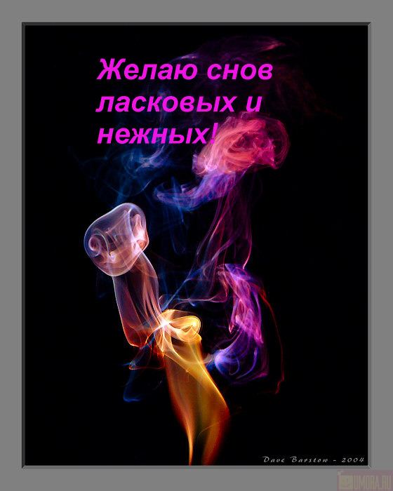  (560x700, 42Kb)