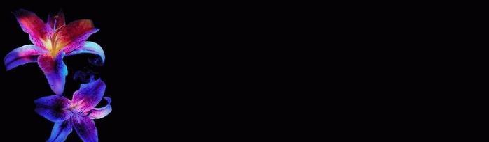  (698x204, 7Kb)