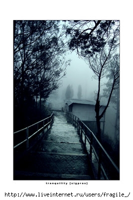  (267x400, 64Kb)