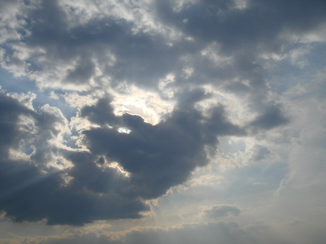 (640x480, 60Kb)