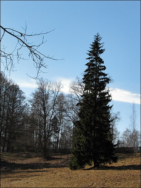 (450x600, 112Kb)