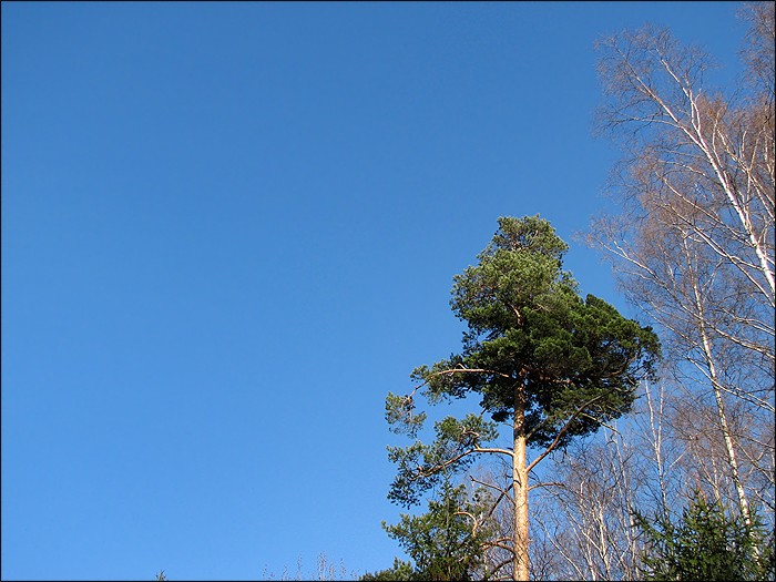 (700x525, 106Kb)