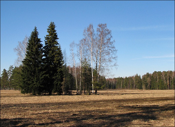 (700x509, 141Kb)