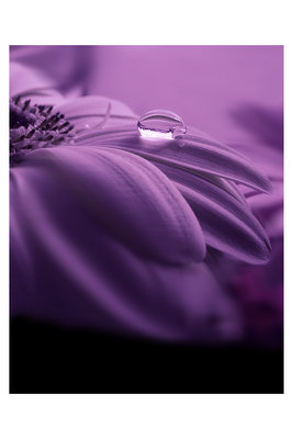  (267x400, 14Kb)