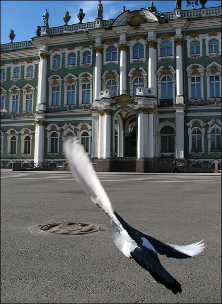 (440x600, 108Kb)