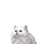 kisa (126x141, 105Kb)