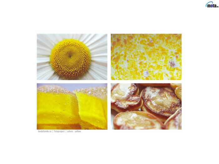 3039300_19363891_food_093 (700x525, 108Kb)