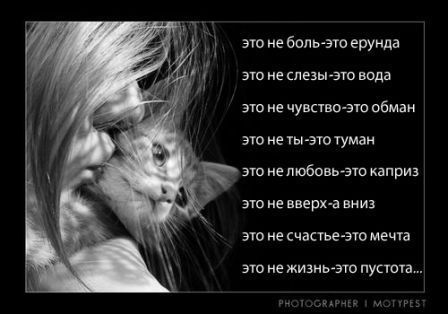 (448x314, 23Kb)