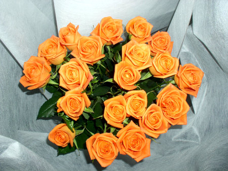 rose2 (450x337, 60Kb)