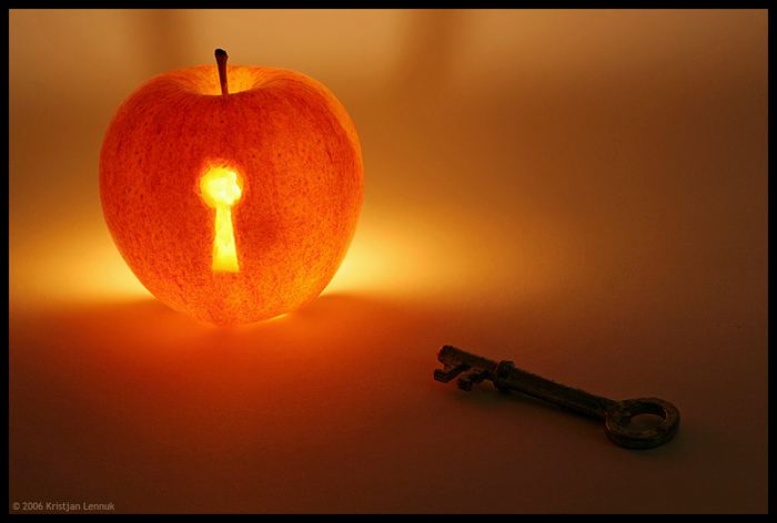  (700x472, 173Kb)