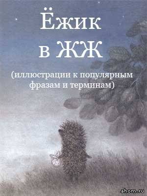  (300x400, 17Kb)