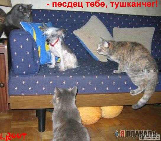  (545x480, 56Kb)