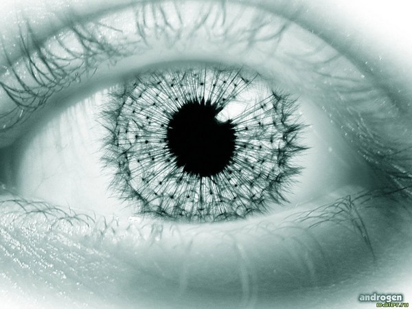b_h460119 (600x450, 70Kb)