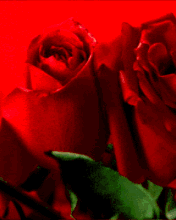  (176x220, 102Kb)