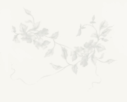 13924911_fon (250x200, 21Kb)