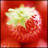 7db780a6ff920b795e3645f980046666 (100x100, 7Kb)