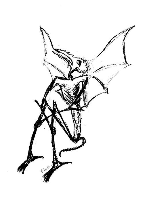  (525x700, 33Kb)