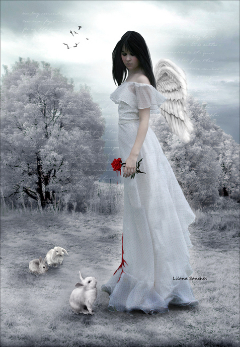 http://img1.liveinternet.ru/images/attach/b/1/18163/18163235_when_roses_cry_blood_by_Princess_of_Shadows.jpg