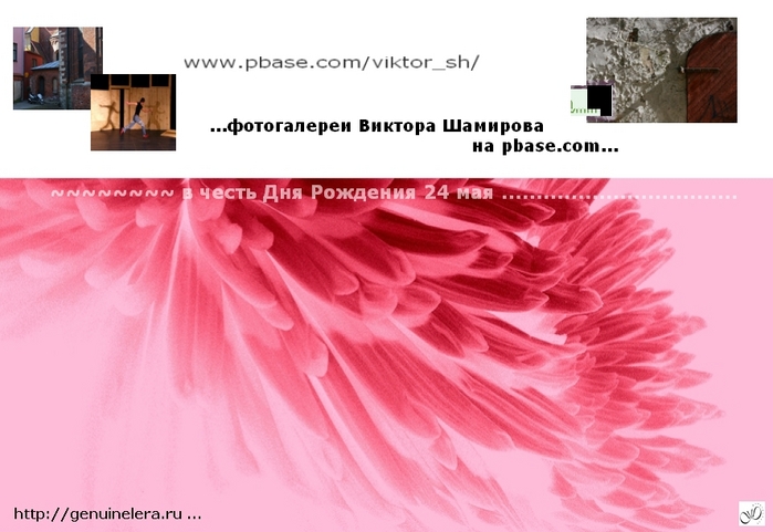 GenuineLera 2007 В честь Дня Рождения Виктора Шамирова (699x481, 190Kb)