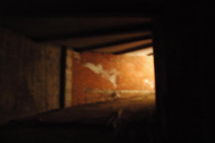 stalker (699x465, 18Kb)