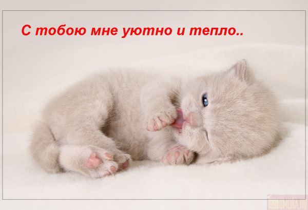  (600x409, 25Kb)
