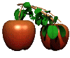  (100x83, 20Kb)