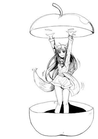  (340x480, 21Kb)