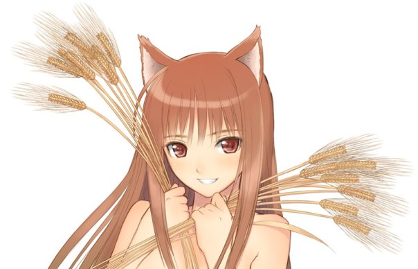  (604x388, 37Kb)