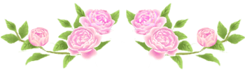  (350x100, 12Kb)
