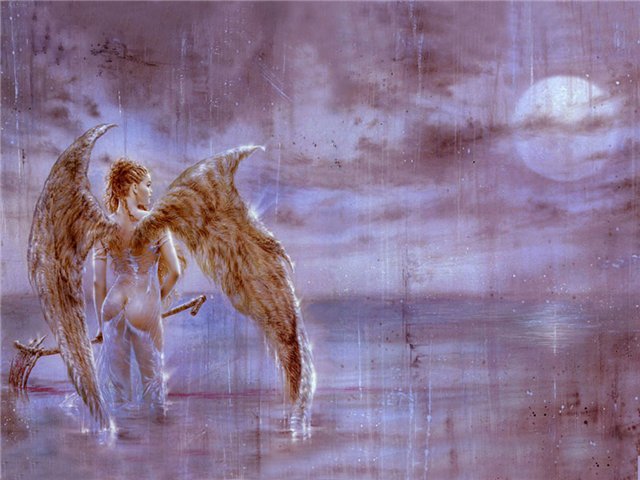  (640x480, 62Kb)