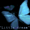  (100x100, 13Kb)