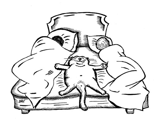  (500x384, 39Kb)