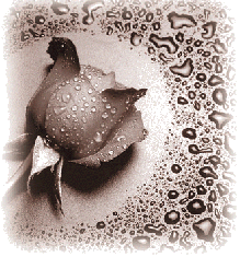  (219x235, 45Kb)