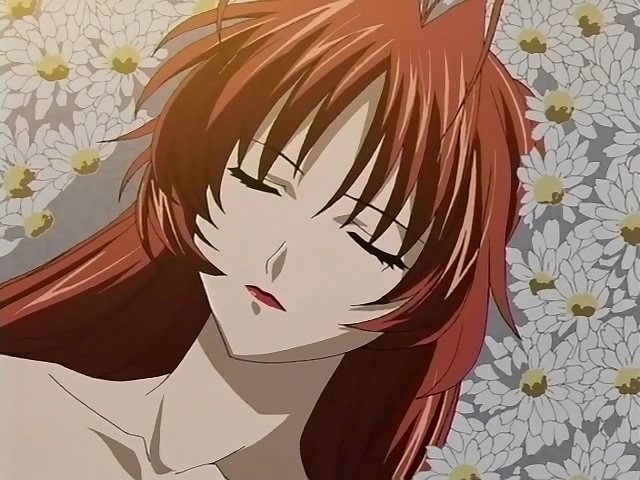  (640x480, 81Kb)