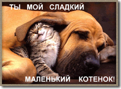  (249x183, 35Kb)