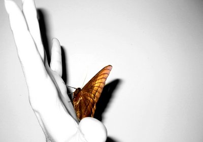  (400x280, 12Kb)