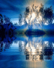  (176x220, 120Kb)