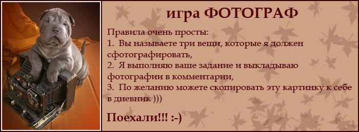  (700x258, 44Kb)