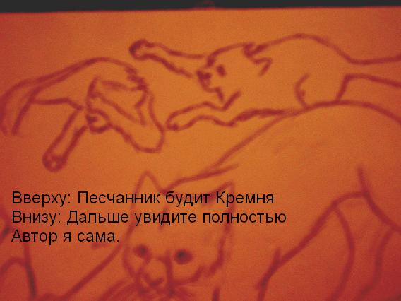 (568x426, 34Kb)