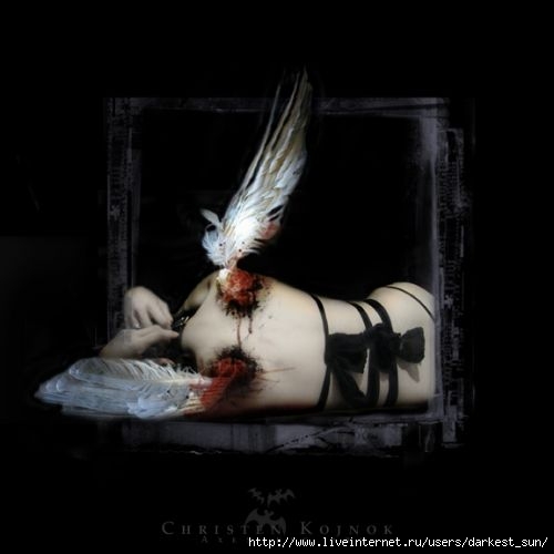  (500x500, 20Kb)