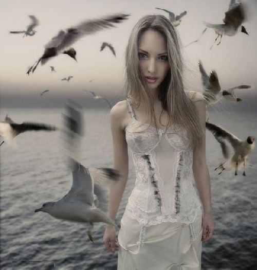  (500x525, 33Kb)