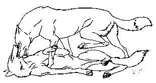  (310x165, 2Kb)