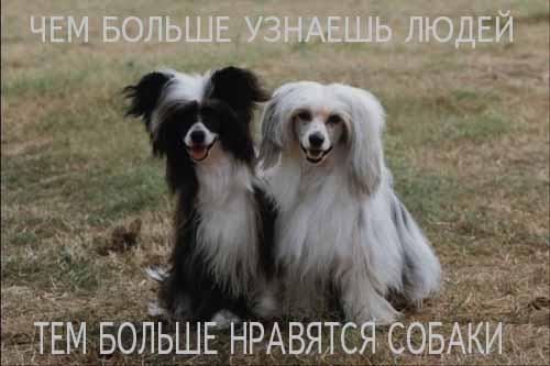  (500x333, 26Kb)