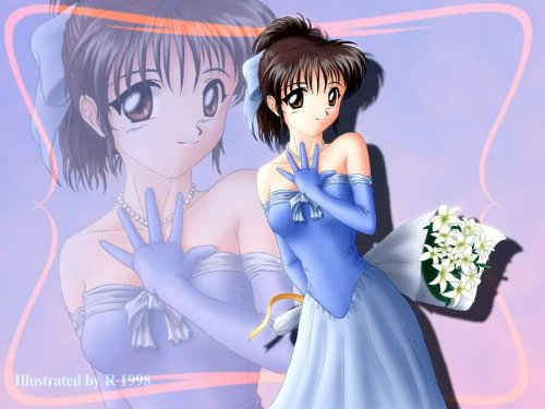  (500x375, 35Kb)