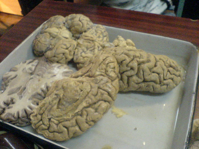  (700x525, 64Kb)