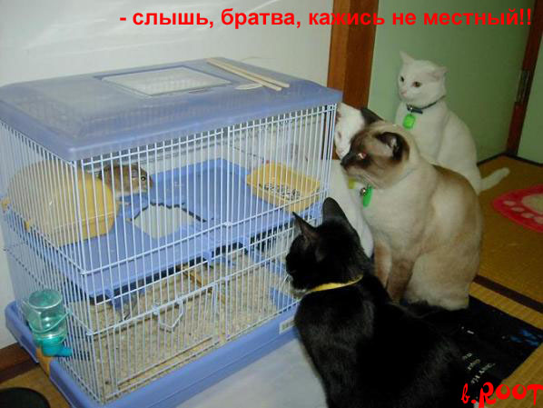  (598x449, 74Kb)
