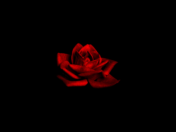  (700x525, 56Kb)