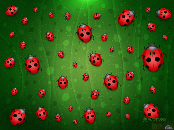  (600x450, 103Kb)