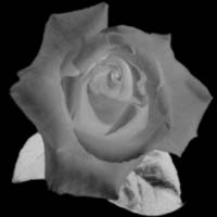  (200x200, 31Kb)
