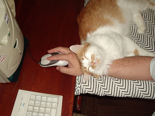  (500x375, 117Kb)